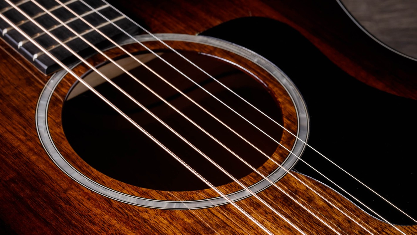 224ce-K DLX Hawaiian Koa Acoustic-Electric Guitar | Taylor Guitars